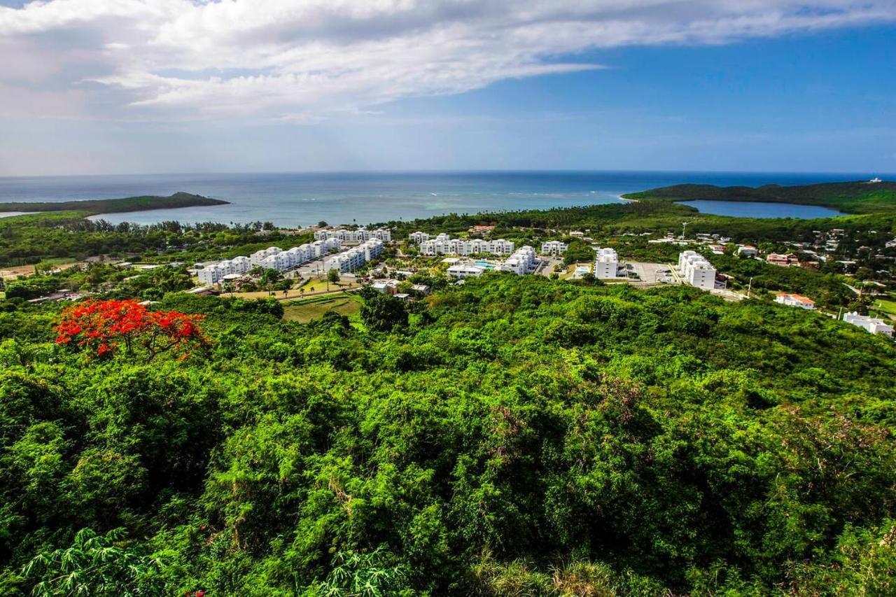 Waterfront Studio At Fajardo, Puerto Rico Exteriör bild